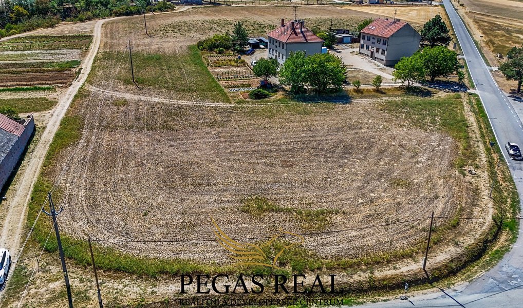 Prodej stavebního pozemku 3 925 m², Vémyslice – náhled fotky 2