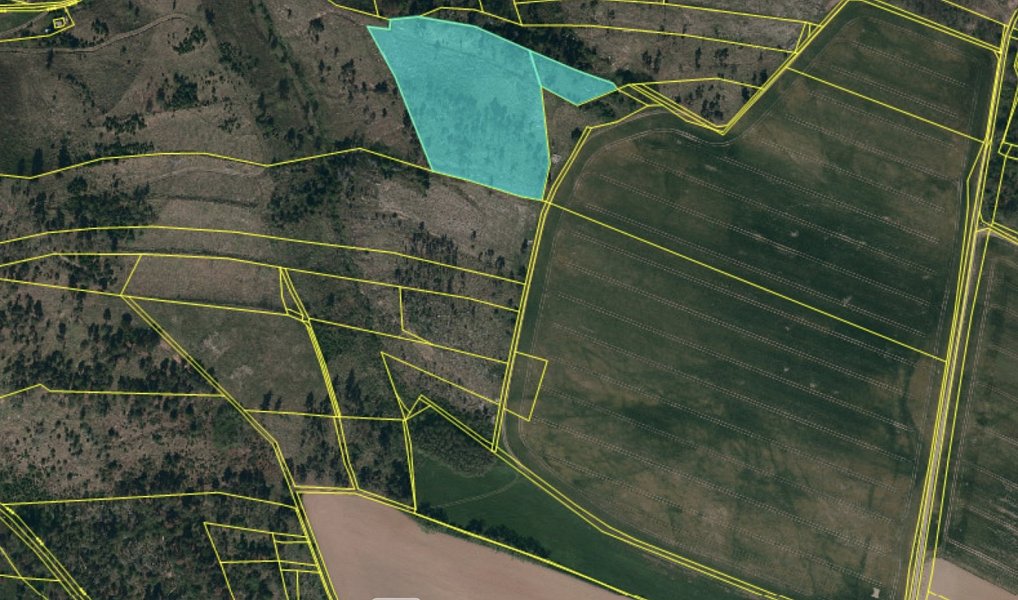 Prodej lesa 15 246 m², Vladislav – náhled fotky 4