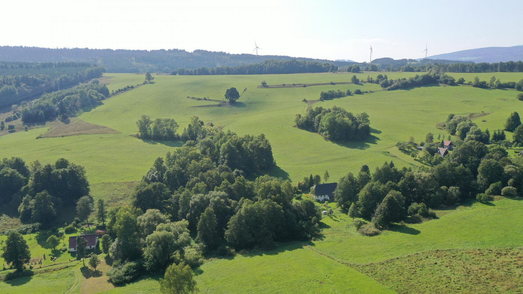 Prodej louky 49 501 m² – fotografie 5