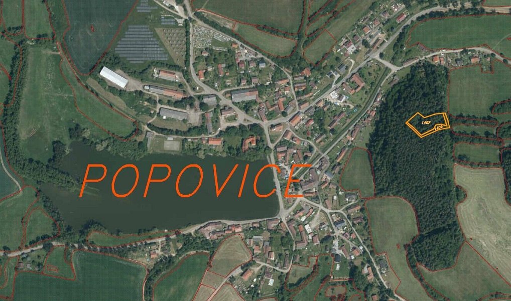 Prodej lesa 3 093 m², Popovice – náhled fotky 6