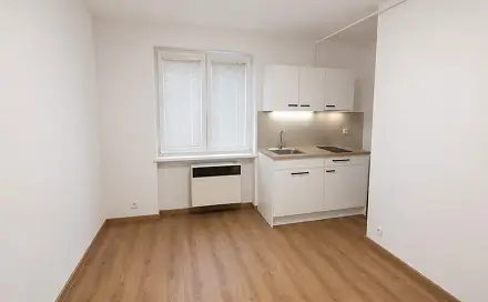Pronájem bytu 1+kk 21 m², Tyršova, Duchcov, okres Teplice