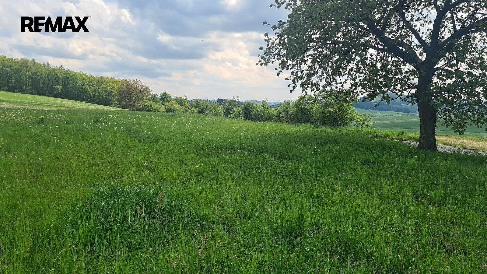 Prodej louky 7 058 m² – pohled 2