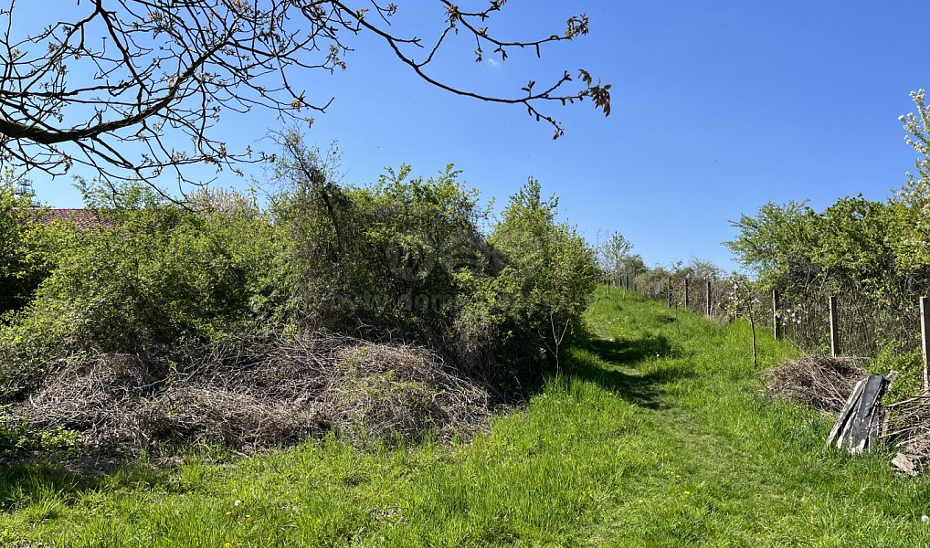 Prodej stavebního pozemku 3 311 m², Benátky nad Jizerou – náhled fotky 6
