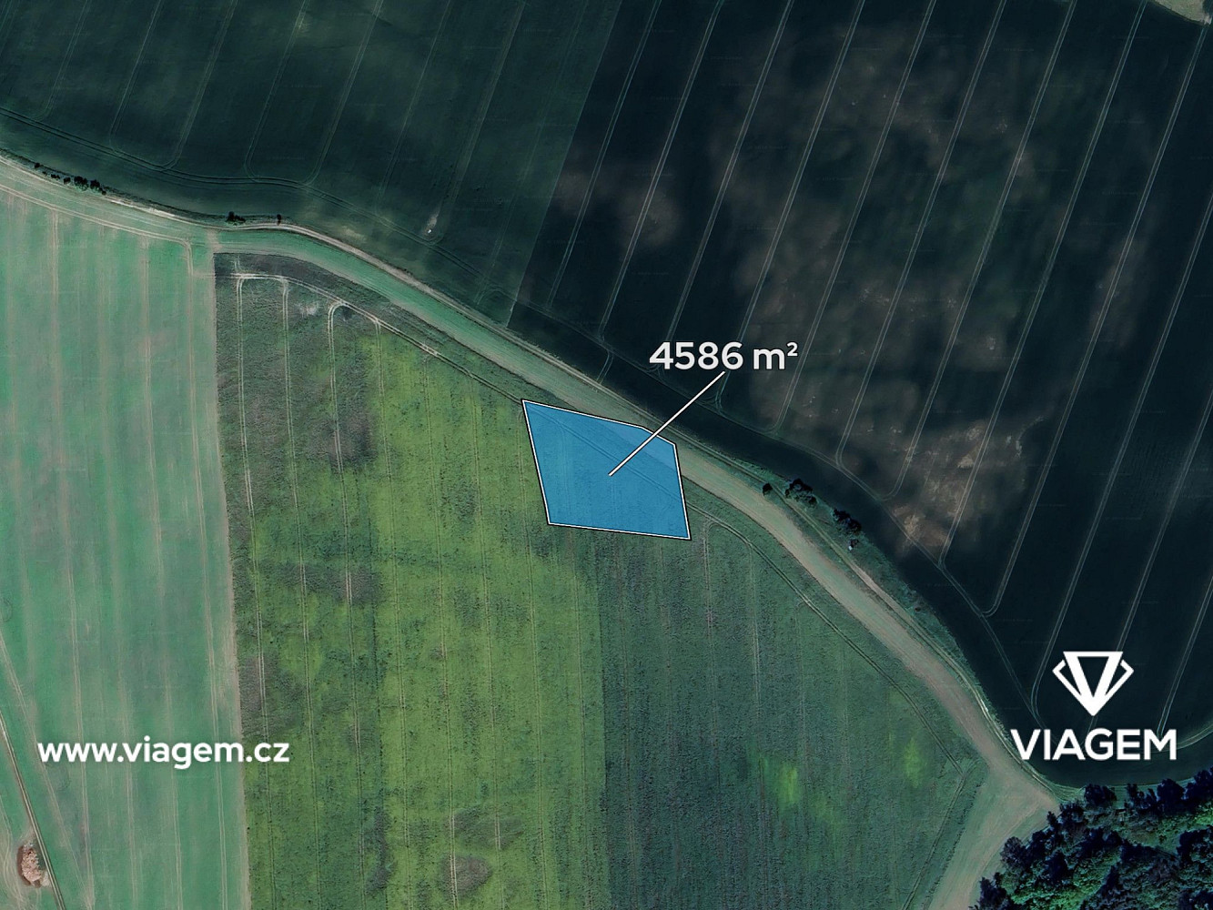 Prodej pole 2 293 m² – fotografie 2