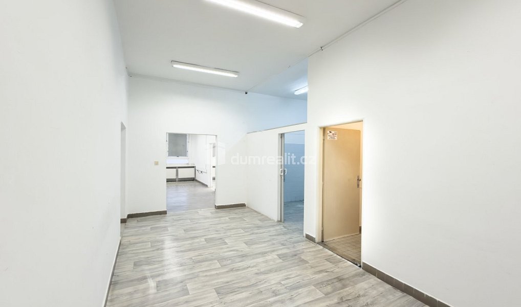 Pronájem obchodních prostor 216 m², České Budějovice – náhled fotky 8