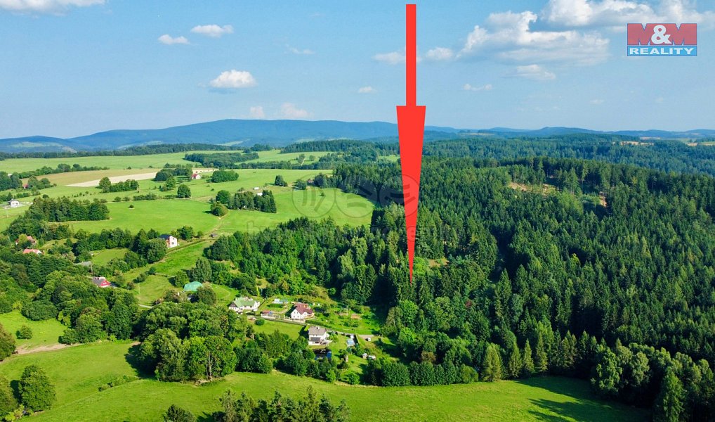 Prodej zahrady 594 m², Borová – náhled fotky 8