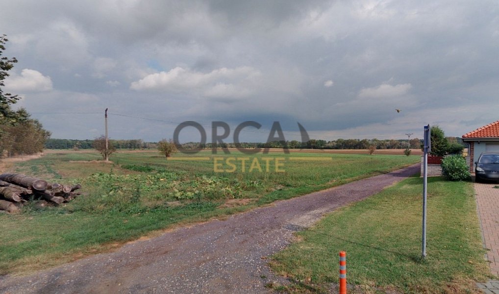 Prodej pole 4 245 m², Jevišovka – náhled fotky 4
