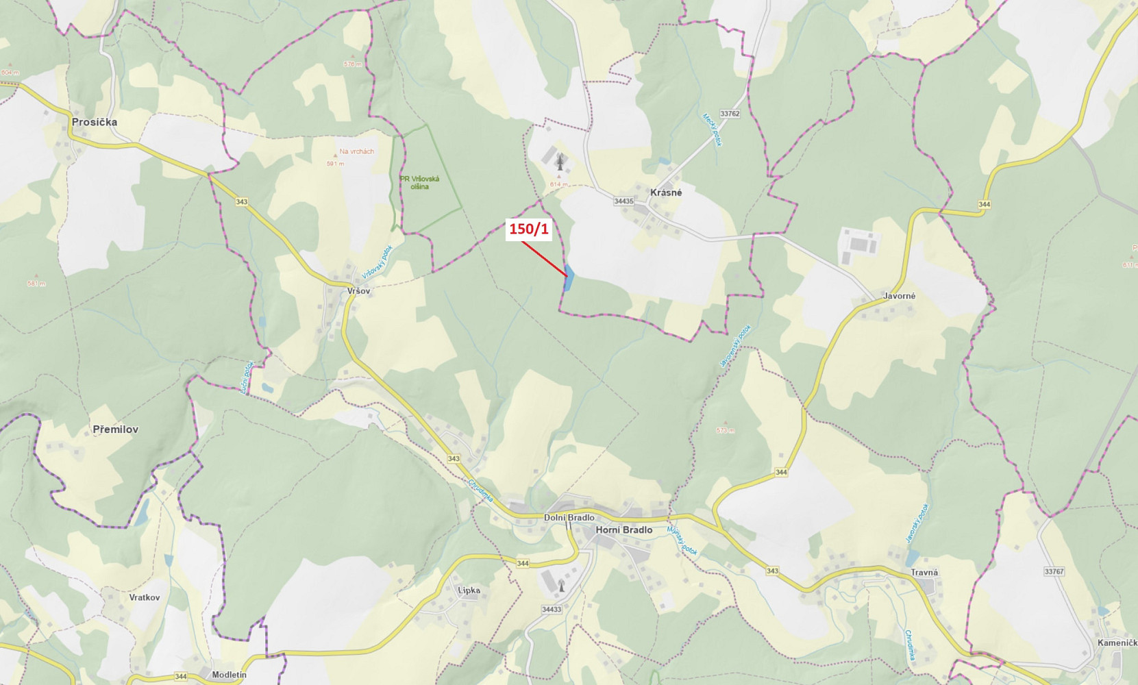 Dražba lesa 6 169 m²