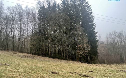 Prodej lesa 33 054 m², Košťálov, okres Semily