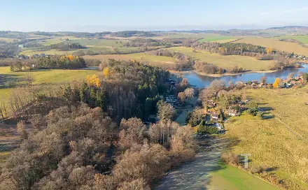 Prodej lesa 19 533 m², Vrchotovy Janovice, okres Benešov