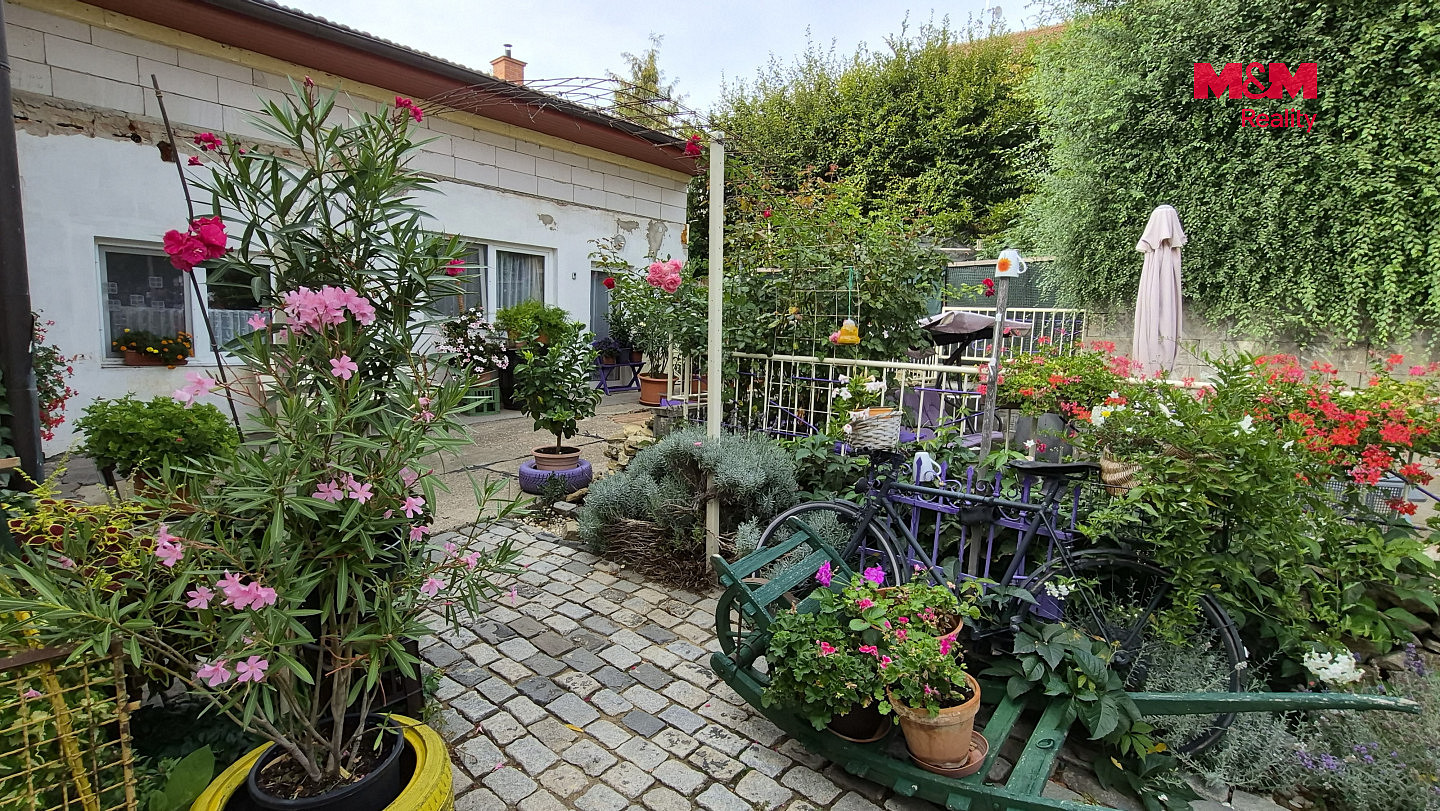 Prodej domu 235 m² s pozemkem 813 m² – fotografie 4