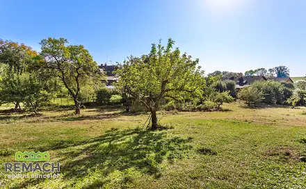 Prodej stavebního pozemku 3 000 m², Studnice - Starkoč, okres Náchod