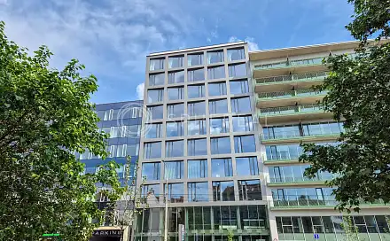 Pronájem obchodních prostor 310 m², Nové sady, Brno - Staré Brno