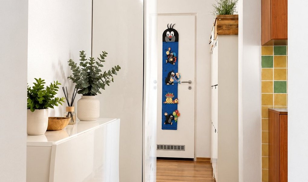 Pronájem bytu 2+1 58 m², Brno – náhled fotky 6
