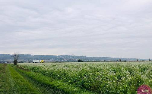 Prodej pole 21 568 m², Hlavní, Hlušovice, okres Olomouc