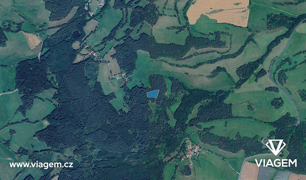 Prodej lesa 1 129 m², Volyně – náhled fotky 3