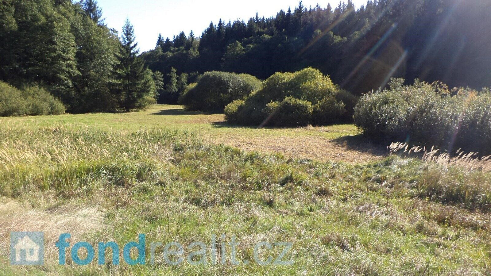 Prodej pozemku 4 992 m² – fotografie 3