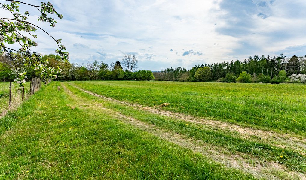 Prodej domu 80 m² s pozemkem 3 279 m², Loket – náhled fotky 23