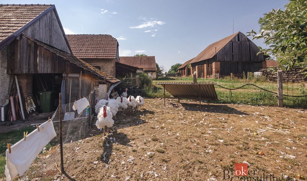 Prodej domu 80 m² s pozemkem 734 m², Lužec nad Cidlinou – náhled fotky 22