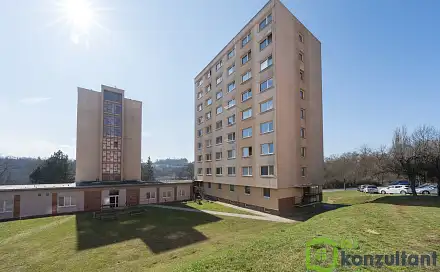 Prodej bytu 1+1 30 m², Řípovská, Třebíč - Borovina