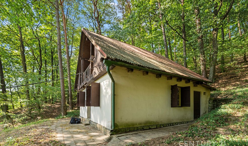 Prodej chaty/chalupy 70 m² s pozemkem 270 m², Moravany – náhled fotky 12