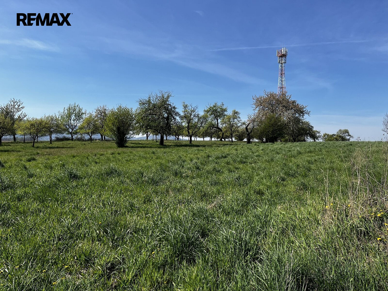 Prodej pozemku 7 559 m² – fotografie 5