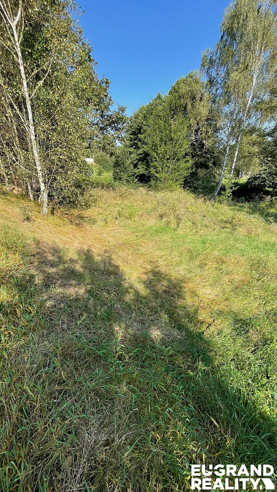 Prodej louky 14 798 m² – fotografie 4