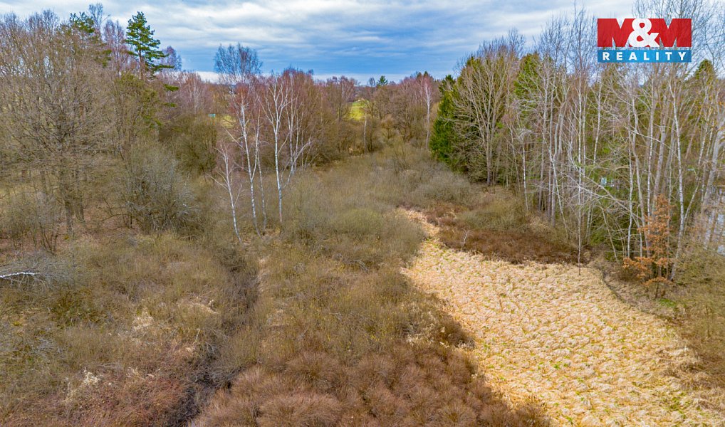 Prodej vodní plochy 8 649 m², Dvory nad Lužnicí – náhled fotky 11