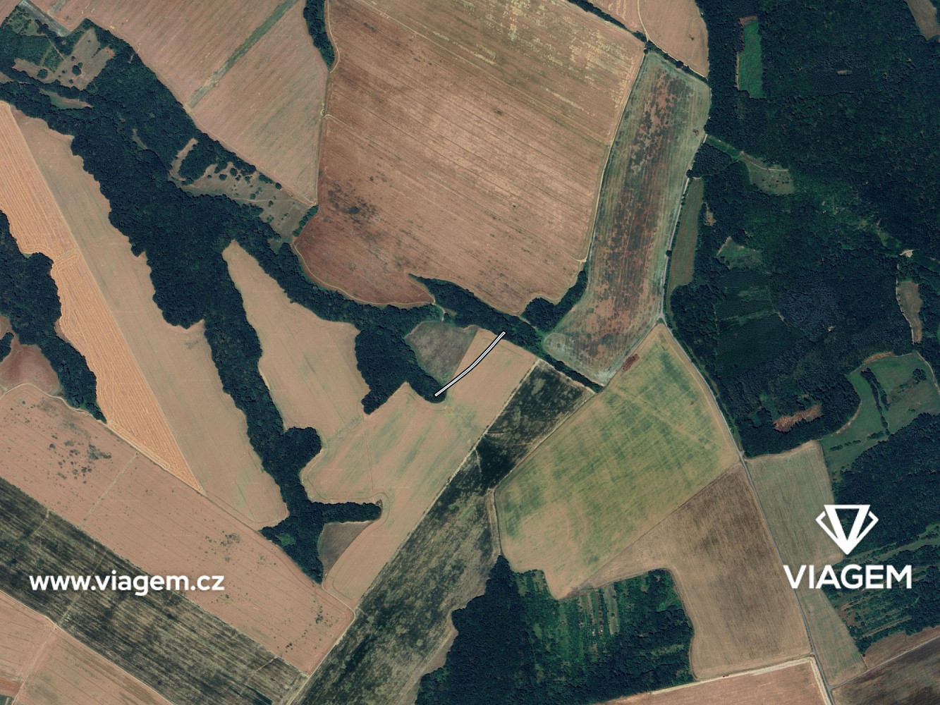 Prodej pole 500 m² – fotografie 3