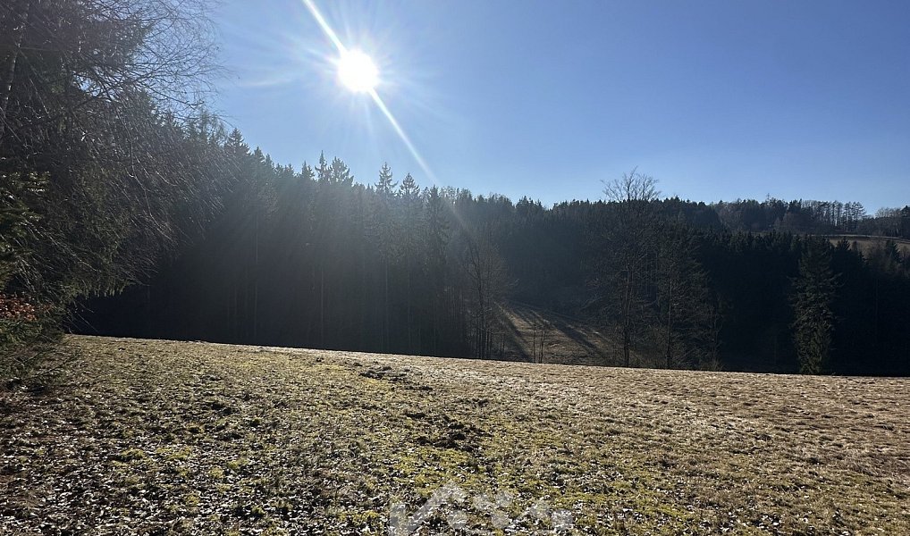 Prodej louky 14 441 m², Bozkov – náhled fotky 6