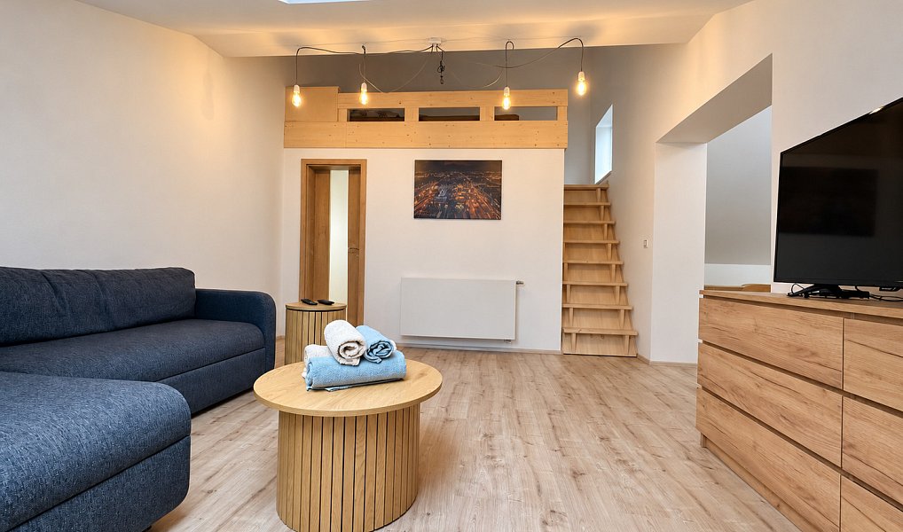Pronájem bytu 2+kk, 50 m², Jižní Předměstí - Plzeň-město, Plzeň