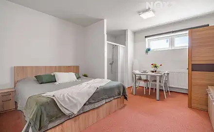 Prodej bytu 1+1 31 m², Karla Kryla, Brno - Sadová