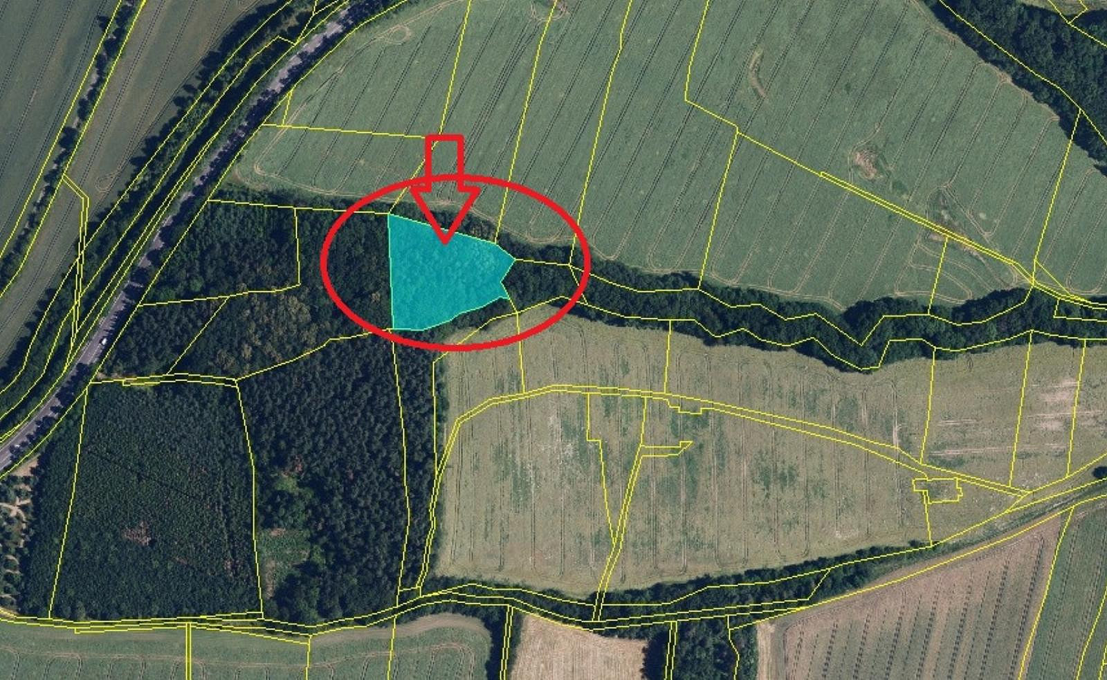 Prodej lesa 6 148 m² – další