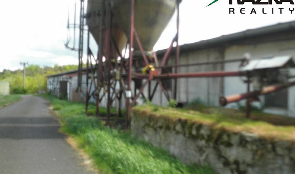 Prodej zemědělského objektu 5 633 m², Přimda – náhled fotky 12