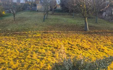 Prodej zahrady 550 m², Veltěže, okres Louny