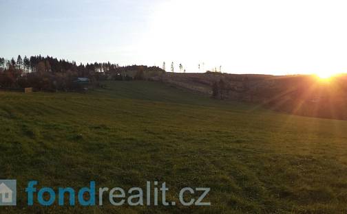Prodej pozemku 7 350 m², Loučka, okres Vsetín