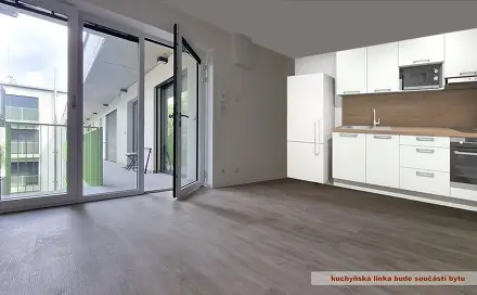 Pronájem bytu 2+kk 34 m², Svitavská, Brno - Husovice