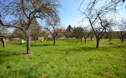 Prodej zahrady 363 m², Ždánská, Bučovice - Kloboučky, okres Vyškov