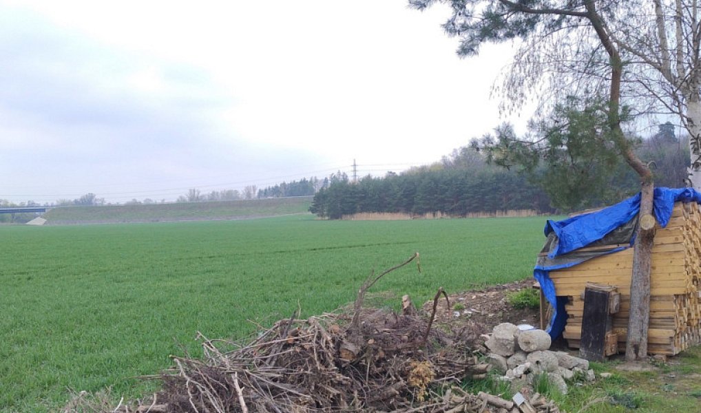 Prodej zahrady 250 m², Opava – náhled fotky 4