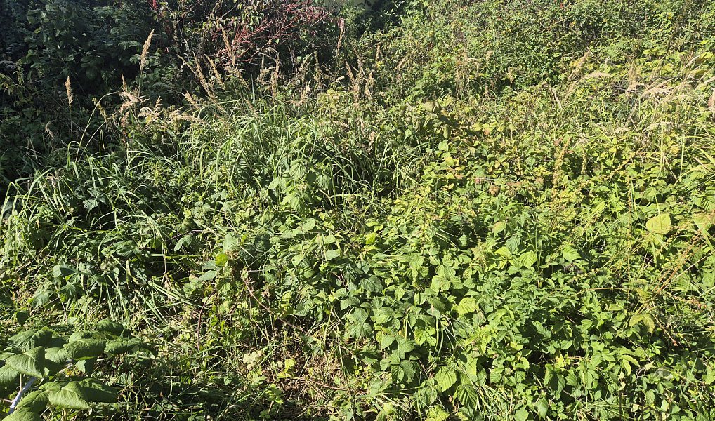 Prodej stavebního pozemku 1 760 m², Český Těšín – náhled fotky 3