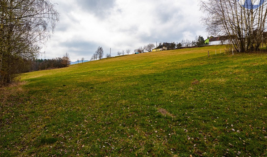 Prodej stavebního pozemku 9 772 m², Bošice – náhled fotky 8