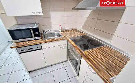 Pronájem bytu 1+1 33 m², Lazy III, Zlín