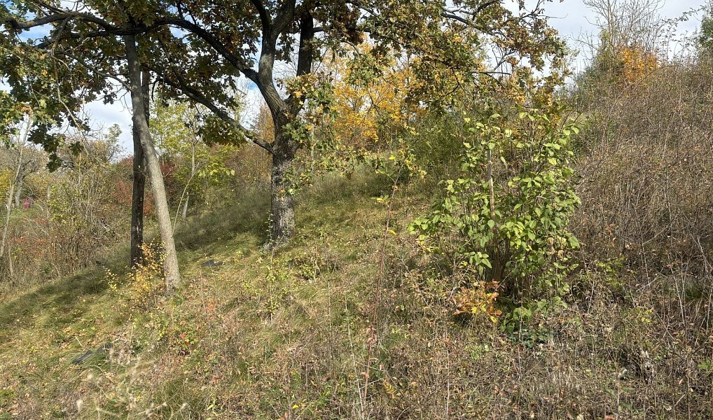 Prodej stavebního pozemku 1 100 m², Beroun – náhled fotky 6