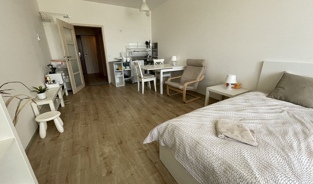 Prodej bytu 1+kk 33 m², Praha – náhled fotky 38