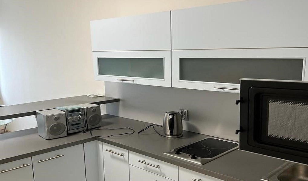 Pronájem bytu 2+kk 46 m², Praha – náhled fotky 4