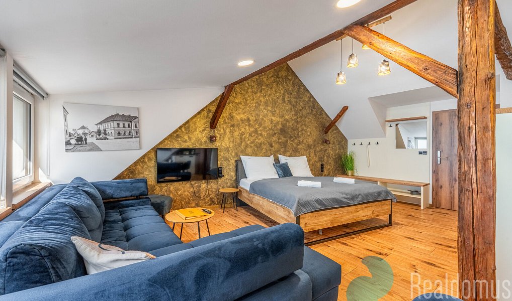 Prodej ubytovacího objektu 953 m², Sepekov – náhled fotky 2