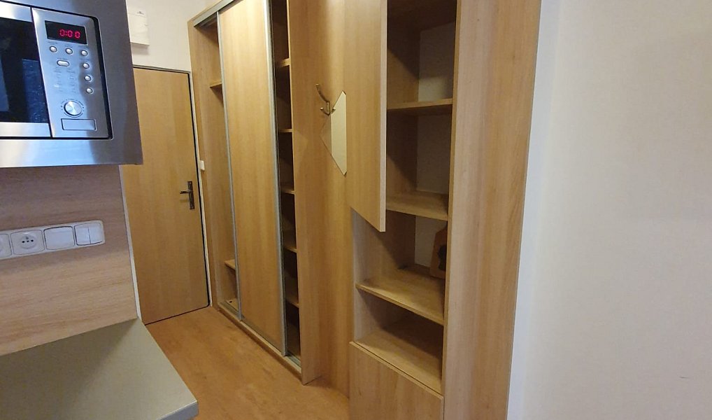 Pronájem bytu 1+kk 20 m², Všemina – náhled fotky 7