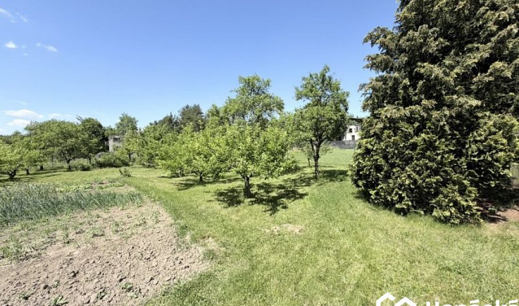 Prodej zahrady 808 m², Jankovice – náhled fotky 7