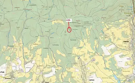 Dražba lesa 2 442 m², Lačnov