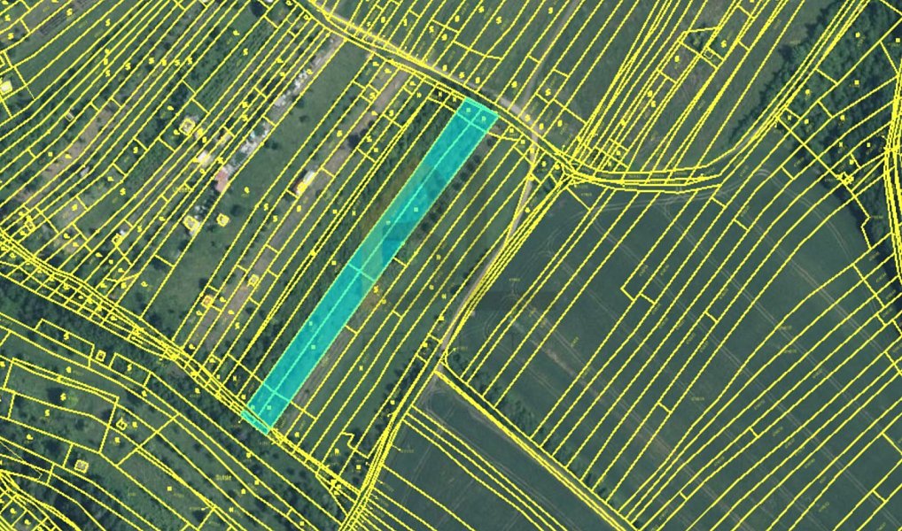 Prodej zahrady 3 867 m², Strážnice – náhled fotky 8